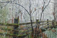 Byron’s Fenceline
