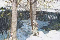 Winter Pond Reflections